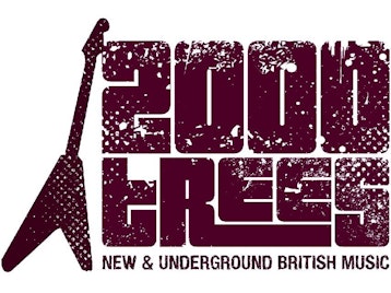 2000trees Festival picture