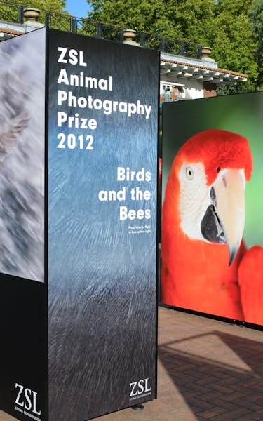 ZSL Animal Photography Prize