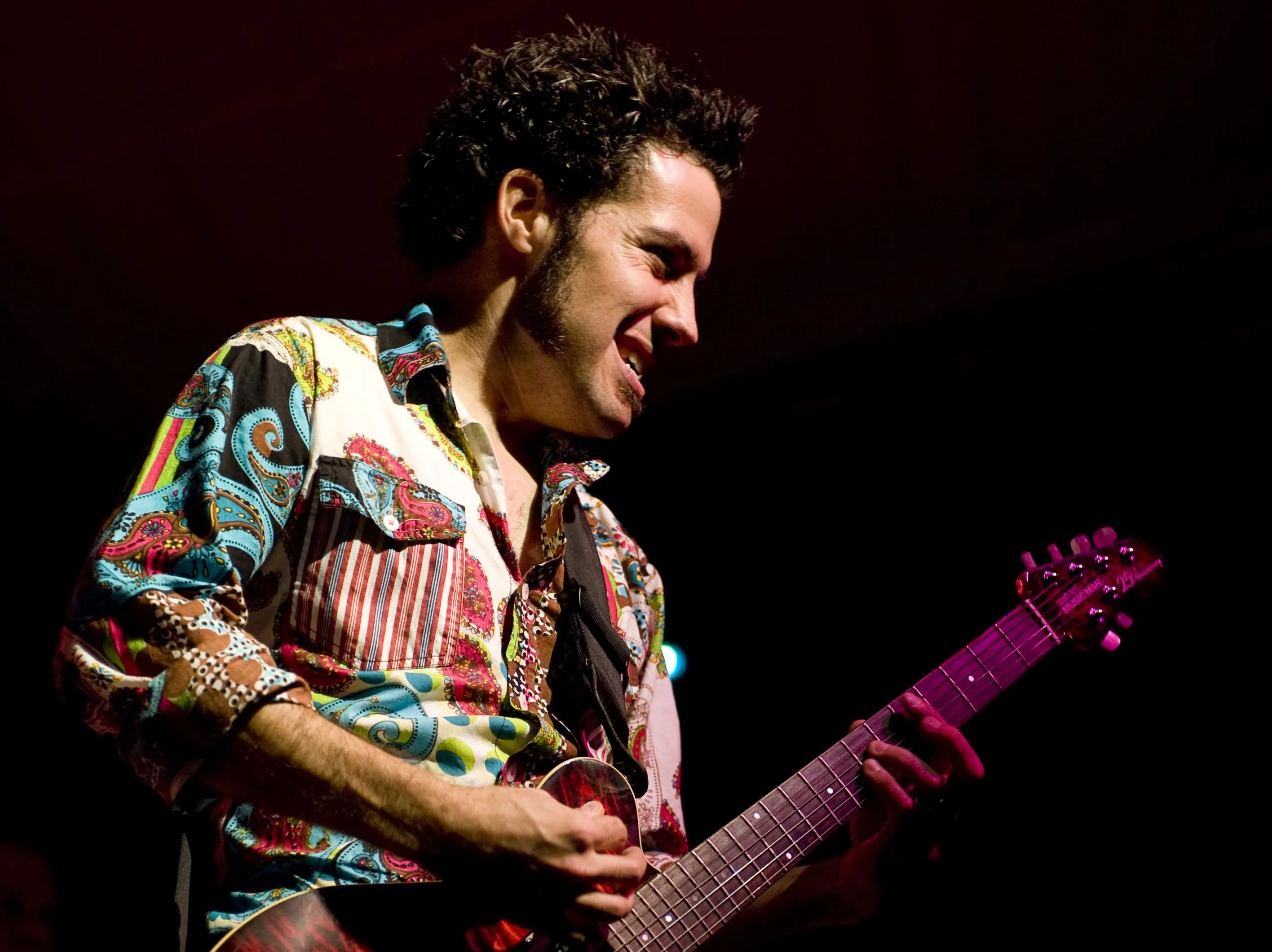 Picture of Hamilton Loomis Band