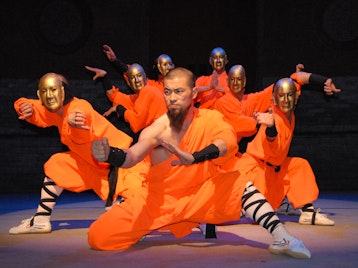 Return Of The Master: Shaolin Warriors picture