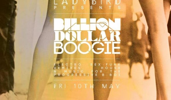 Ladybird Presents Billion Dollar Boogie