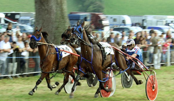Lampeter Harness Races