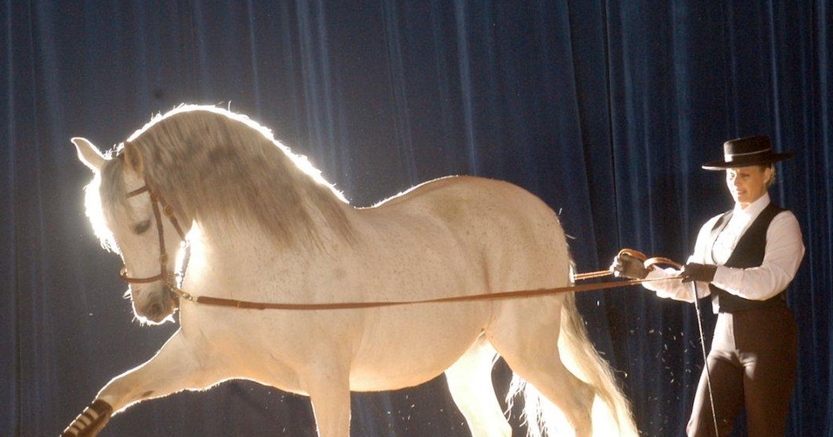 Spirit Of The Horse Tour Dates Tickets 2024 Ents24 spirit-of-the-horse-tour-dates-tickets-2024-ents24