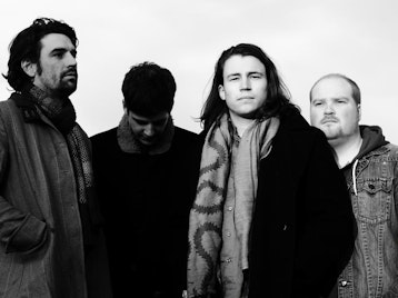 Josh Flowers & The Wild artist photo