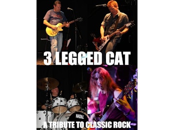 The 3LC picture