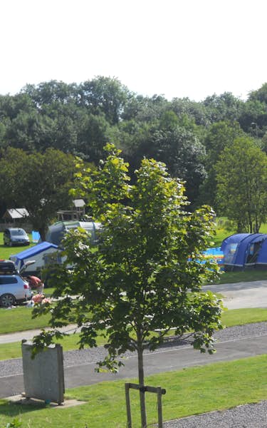 Riverside Caravan & Camping Park Events