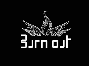 Burn Out Festival picture