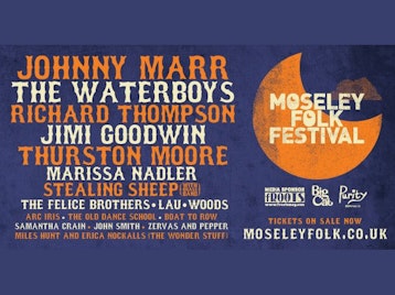 Moseley Folk Festival 2014 picture
