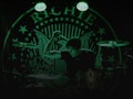 Richie Ramone event picture