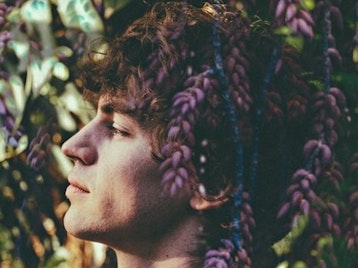 Cosmo Sheldrake picture