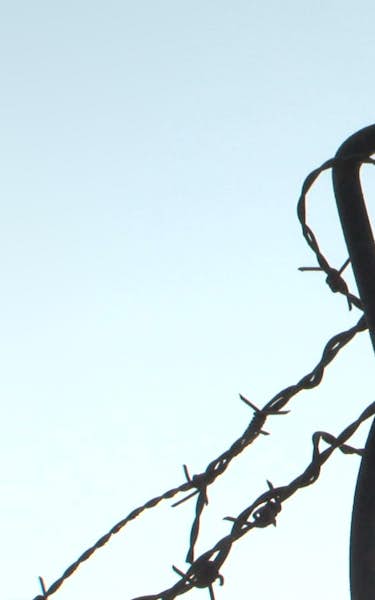 Barbed Wire For Kisses
