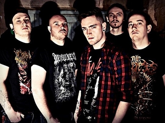 Ingested