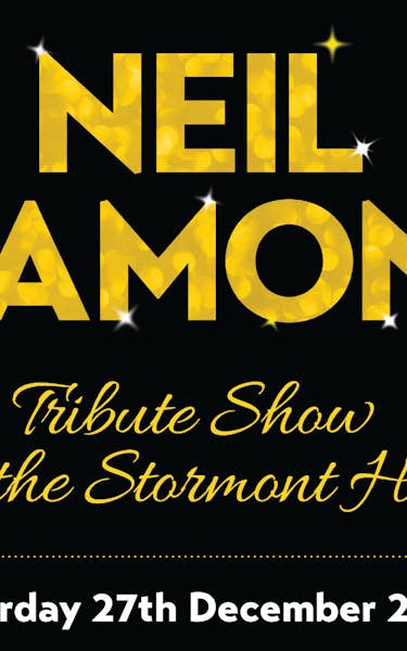The Neil Diamond Experience