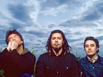 Trinity Roots artist photo