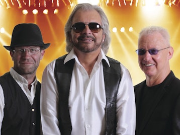 Saturday Night Bee Gees artist photo