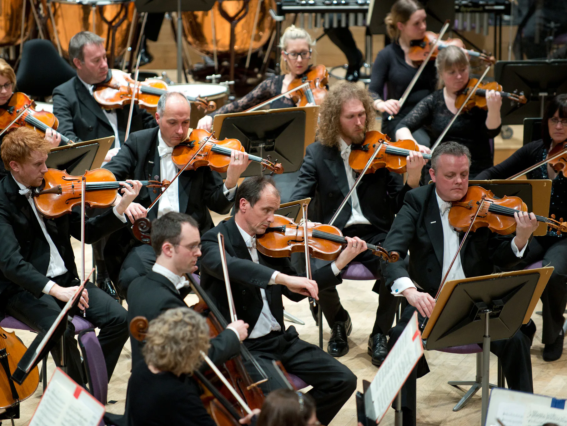 Picture of The Hallé Orchestra