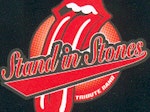 The Stand In Stones artist photo