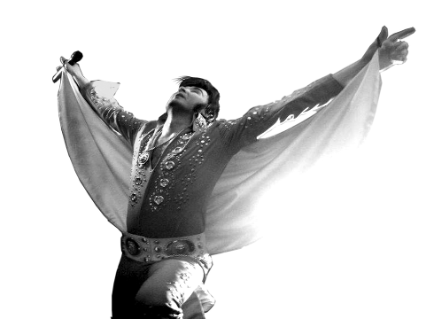 Elvis Tribute Night