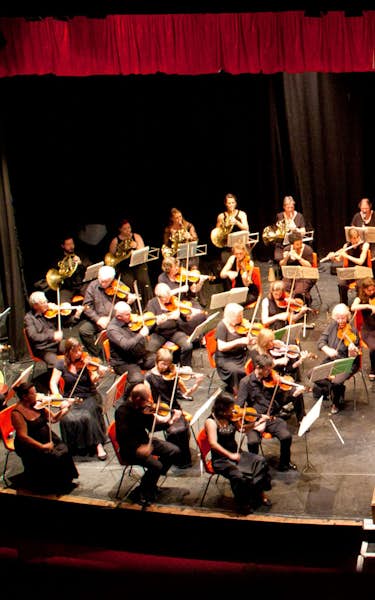 The Festival Orchestra, Richard Dickins