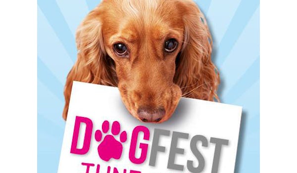 DogFest 2016