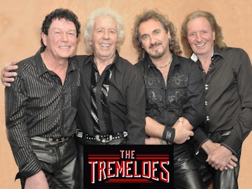 the tremeloes tour dates