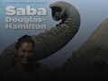 A Life With Elephants: Saba Douglas-Hamilton event picture