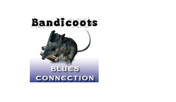 Bandicoots Blues Connection