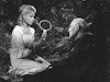 Wild Strawberries