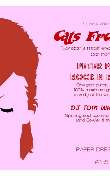 Cats From Japan, Peter Parker's Rock 'n' Roll Club, DJ Tom Whiskeykitten