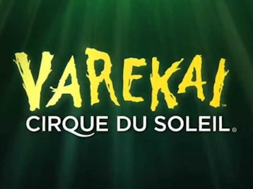 Varekai: Cirque Du Soleil picture