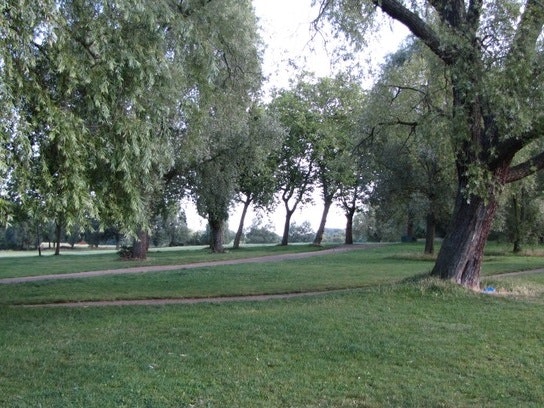 Lower Fairground Site