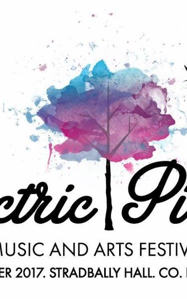 Electric Picnic 2017