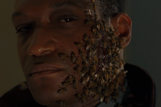 Image for Candyman (1992)