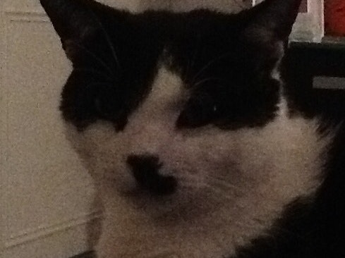 Minnie And The Victors