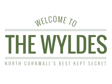 Live In The Wyldes picture
