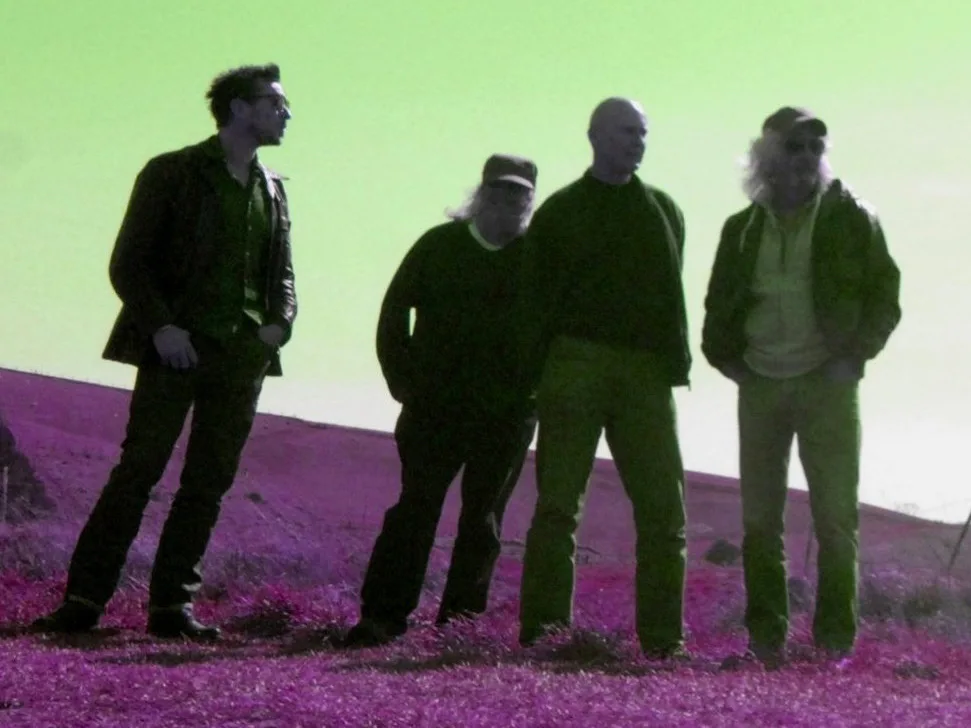 Picture of The Bevis Frond