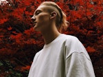 Yellow Days artist photo