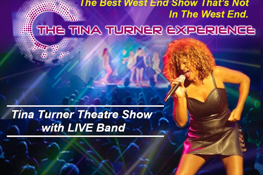 the tina turner experience tour dates