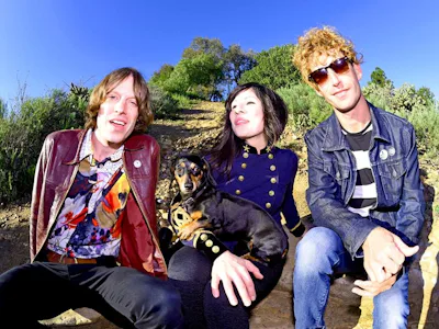 Picture of The Schizophonics