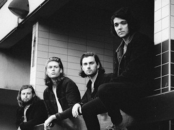 The Amazons artist photo