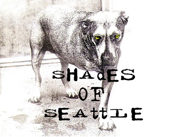 Picture of Shades of Seattle