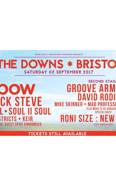 The Downs Festival 2017