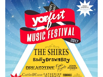 Yorfest picture