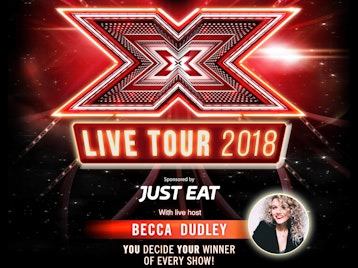 Live Tour 2014: X Factor Live picture
