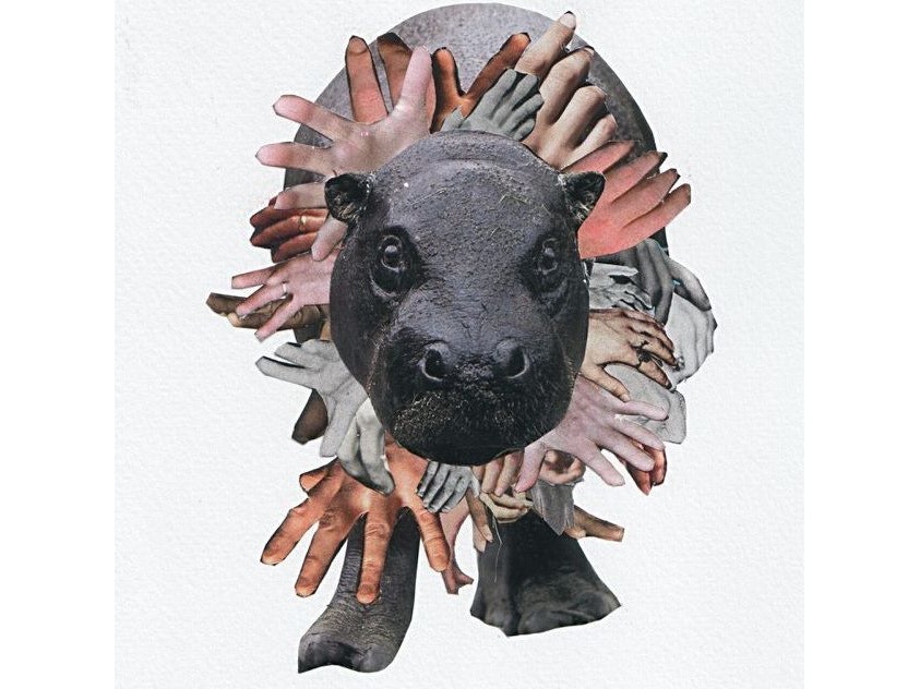 Sweet Williams appearing at this event