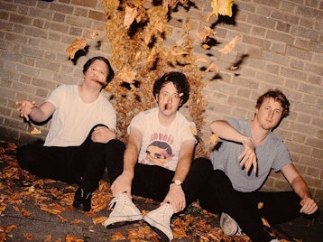 The Wombats artist photo