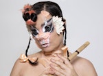 Björk artist photo
