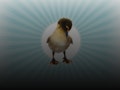 Ugly Duckling: Northern Ballet event picture