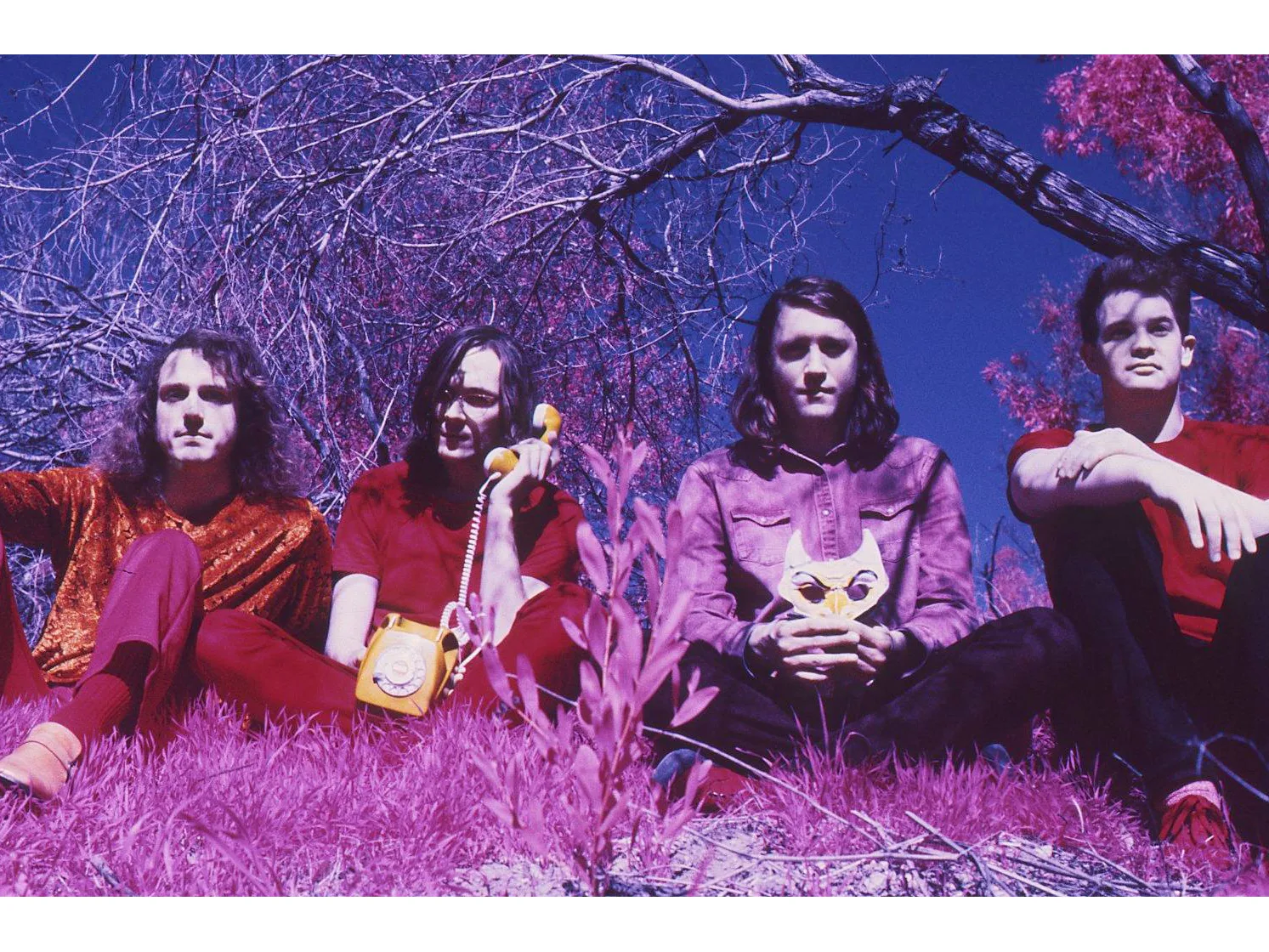 Picture of Frankie & The Witch Fingers
