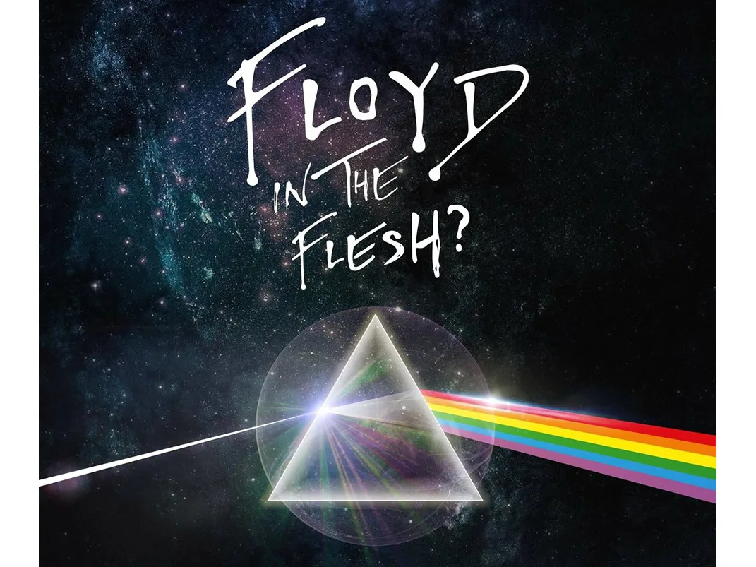 Picture of Floyd In The Flesh